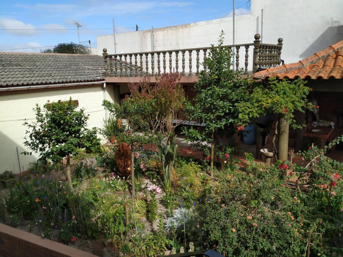 Sousa E Ines House กาฟันญา ดา นาซาเร ภายนอก รูปภาพ